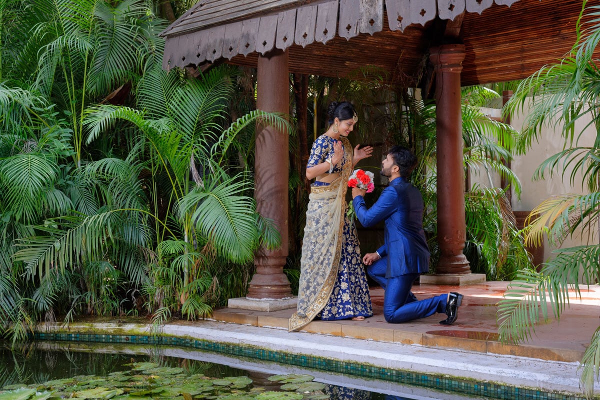 Exotica wedding proposal